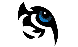 Tiger Team Productions